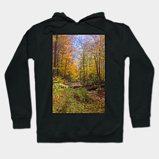 Autumn in the Woodland Hoodie